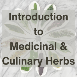 Introduction to medicinal and culinary herbs.